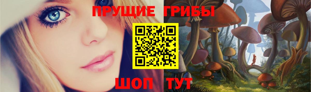 цены наркотик  Галлюциногенные грибы GOLDEN TEACHER  Вход с VPN  Чехов 