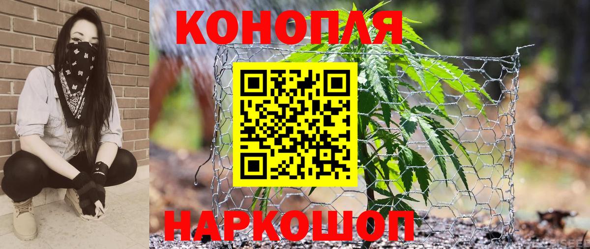 Бошки марихуана сатива Чехов